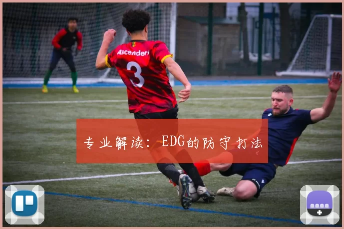 专业解读：EDG的防守打法