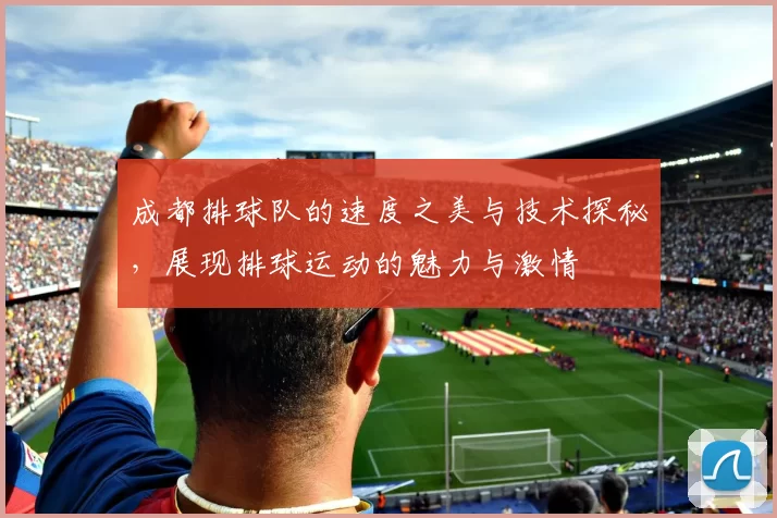 成都排球队的速度之美与技术探秘，展现排球运动的魅力与激情