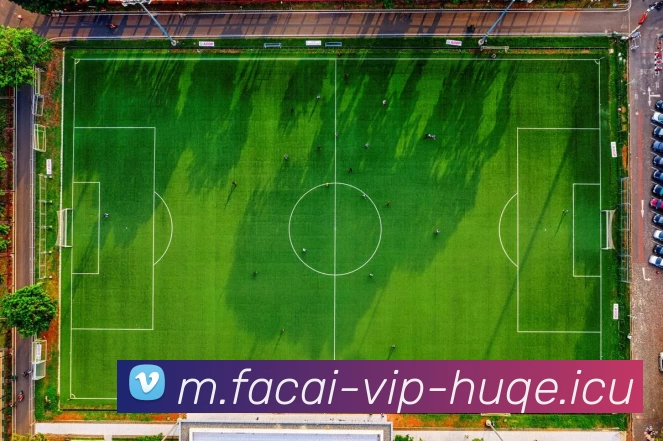 广州排球队在联合会杯中的辉煌历程与突破成就全景回顾